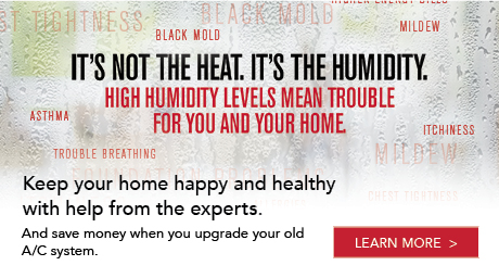 Humidity wrecks more than just your hair. Protect your home!